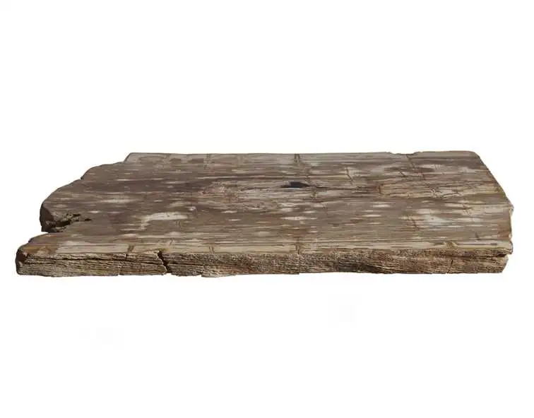 столешница для журнального столика  из окаменелого дерева 112x54x6