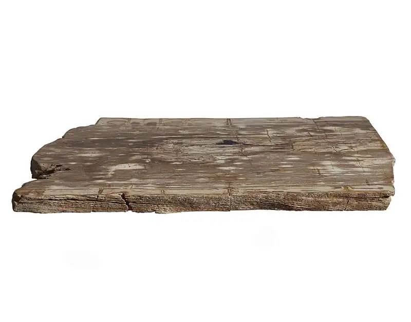 столешница для журнального столика  из окаменелого дерева 112x54x6