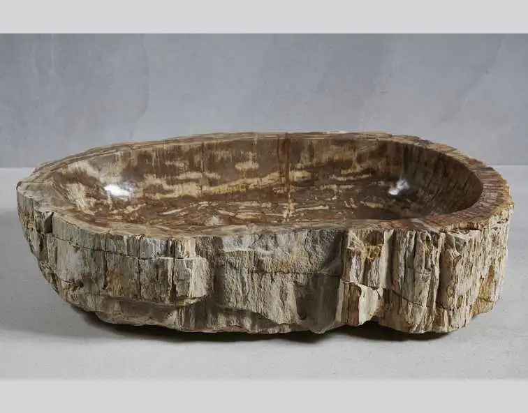 Раковина из окаменелого дерева 68x42x15