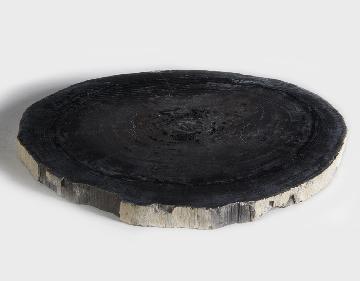 столешница для кофейного столика  из окаменелого дерева 43х39х3