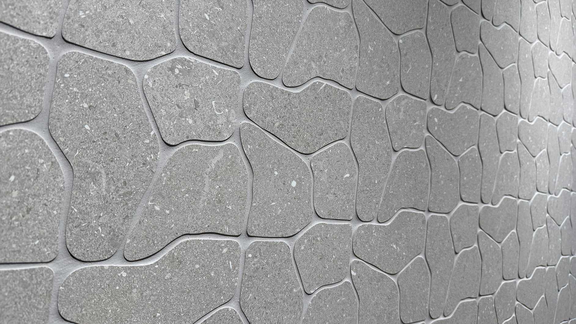 IMG_4833.jpg IMG_4833.jpg