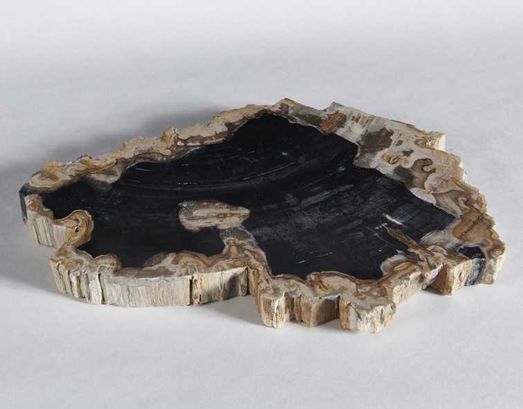 столешница для кофейного столика  из окаменелого дерева 41х30х3,5