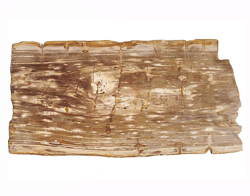 столешница для журнального столика  из окаменелого дерева 106х54х6