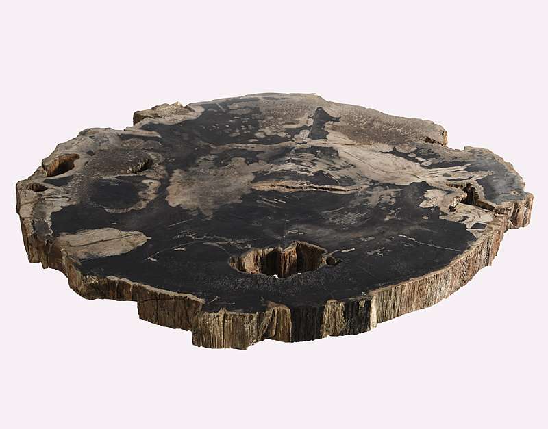 столешница для журнального столика  из окаменелого дерева 95х83х5