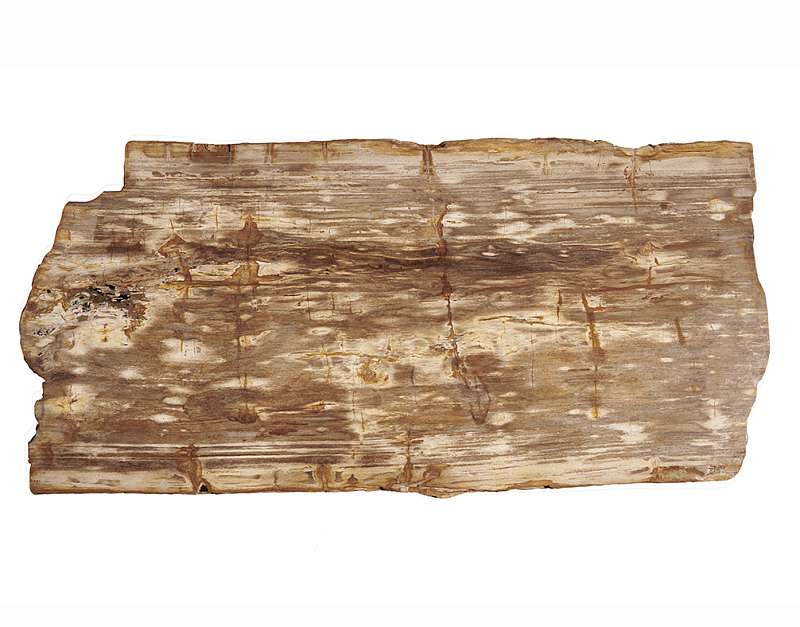 столешница для журнального столика  из окаменелого дерева 113х54х6
