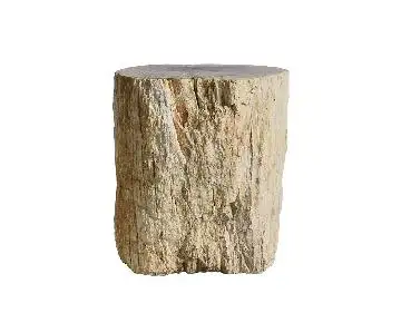 кофейный столик  из окаменелого дерева 46х34х42