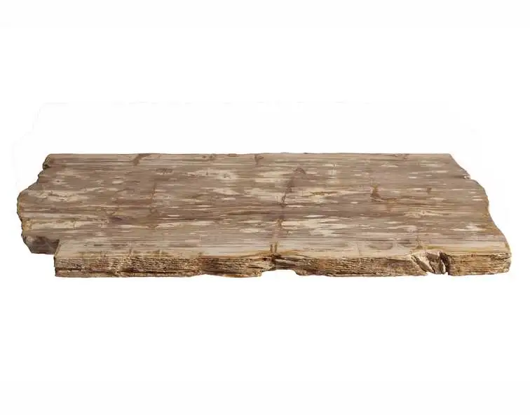 столешница для журнального столика из окаменелого дерева 110х53х6 ...