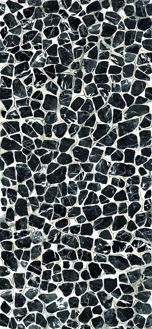 TURTLE6 260LP 120x260