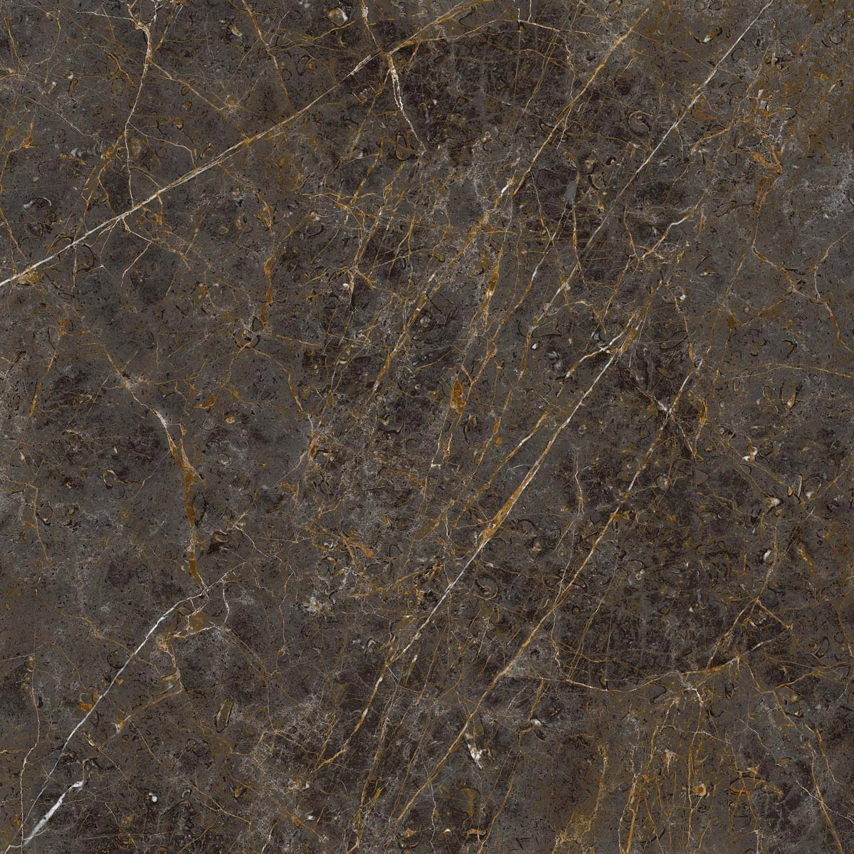 AE GOL6 120 LP 120x120