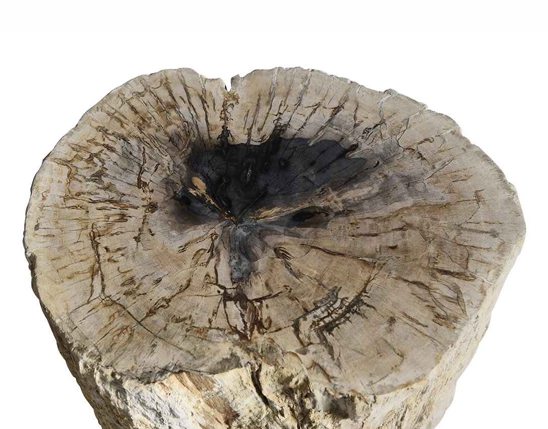 кофейный столик  из окаменелого дерева 46х34х42