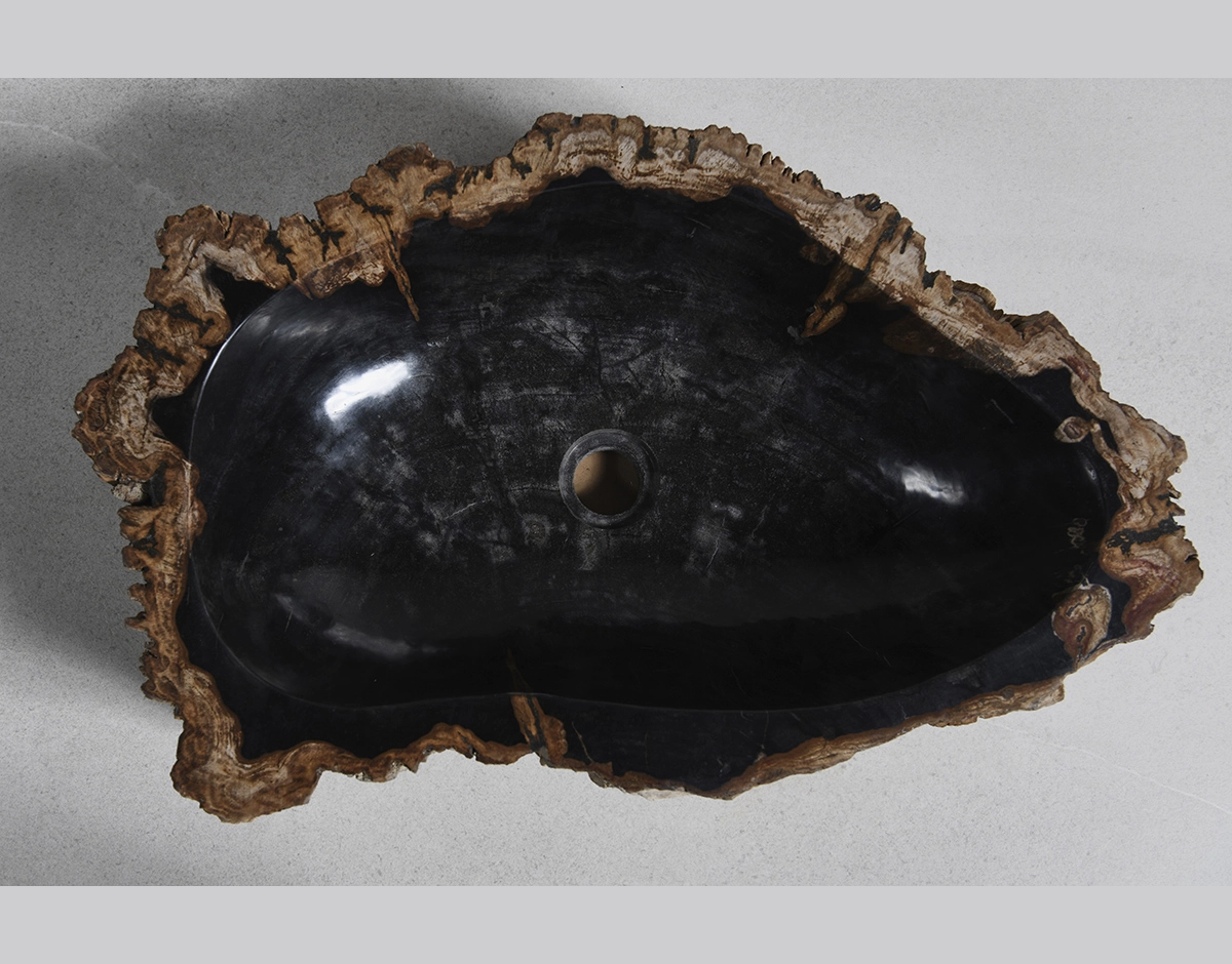 Раковина из окаменелого дерева 63х40х15
