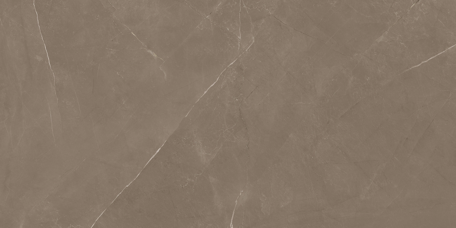 PIETRA ACTIVE GRAY 60X120