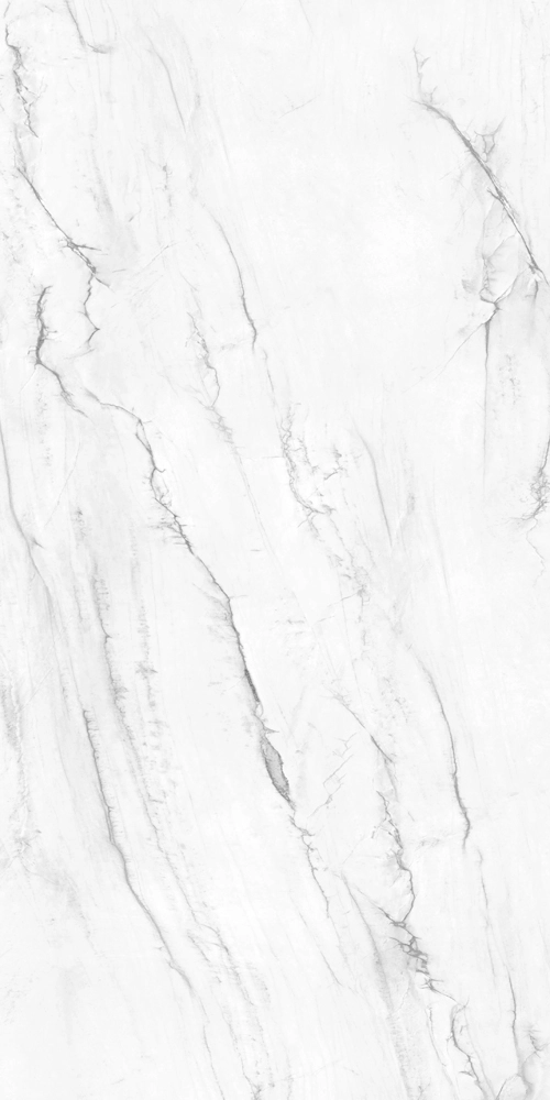 VICTORIA POLISHED 120x240