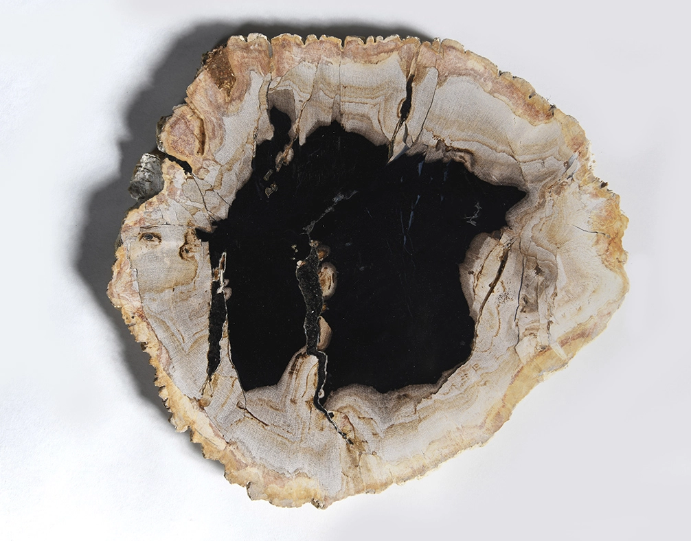 столешница для кофейного столика  из окаменелого дерева 34х31х2,5