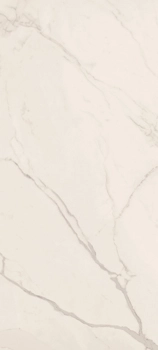 TREX6 260W LP 120x260