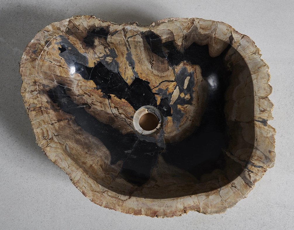 Раковина из окаменелого дерева 50х38х15