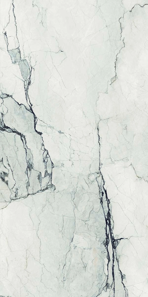 AE CAM6 12 LP 60x120