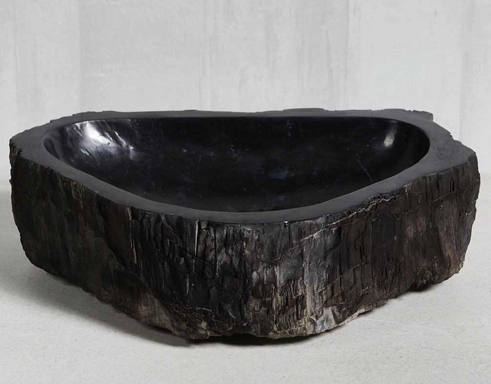 Раковина из окаменелого дерева 60х43х15