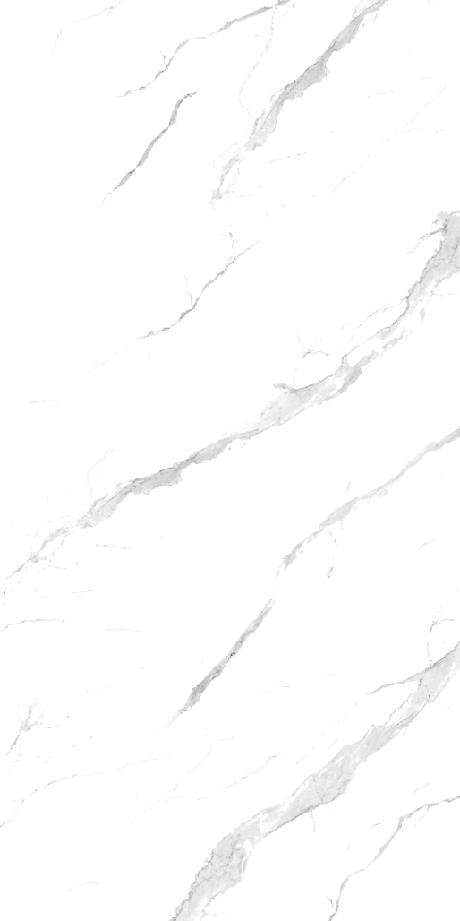 67400 Statuario 120x240