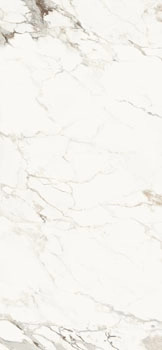 AE CAP6 278 LPM 120x278