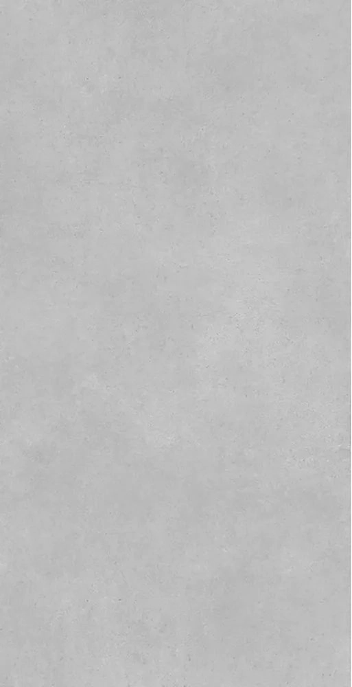 Concrete Expose Grey 8145 60x120