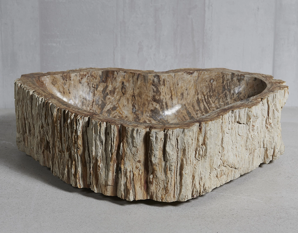 Раковина из окаменелого дерева 60х42х15