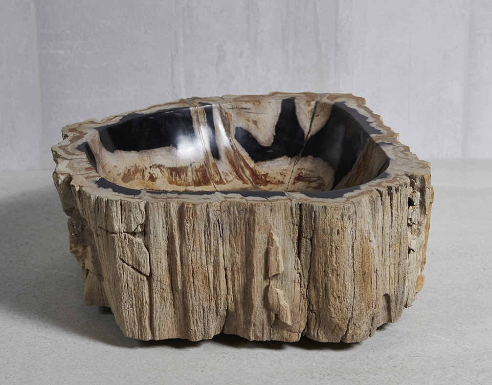 Раковина из окаменелого дерева 43х46х15