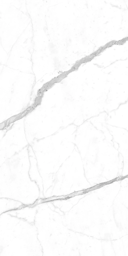 STATAURIO POLISHED 120x300