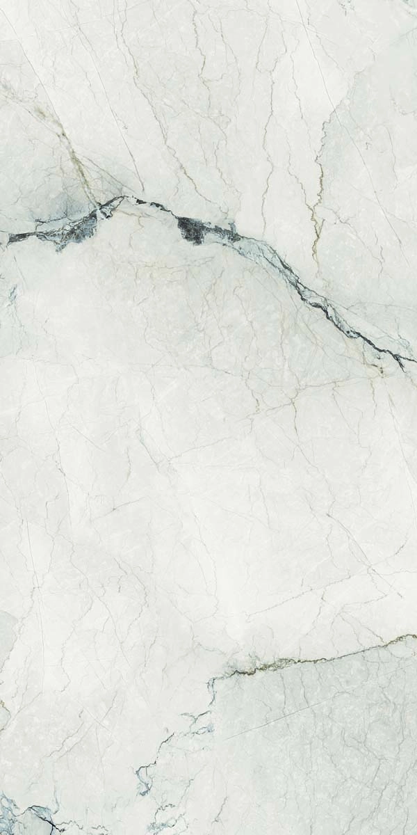 AE CAM6 12 LP 60x120