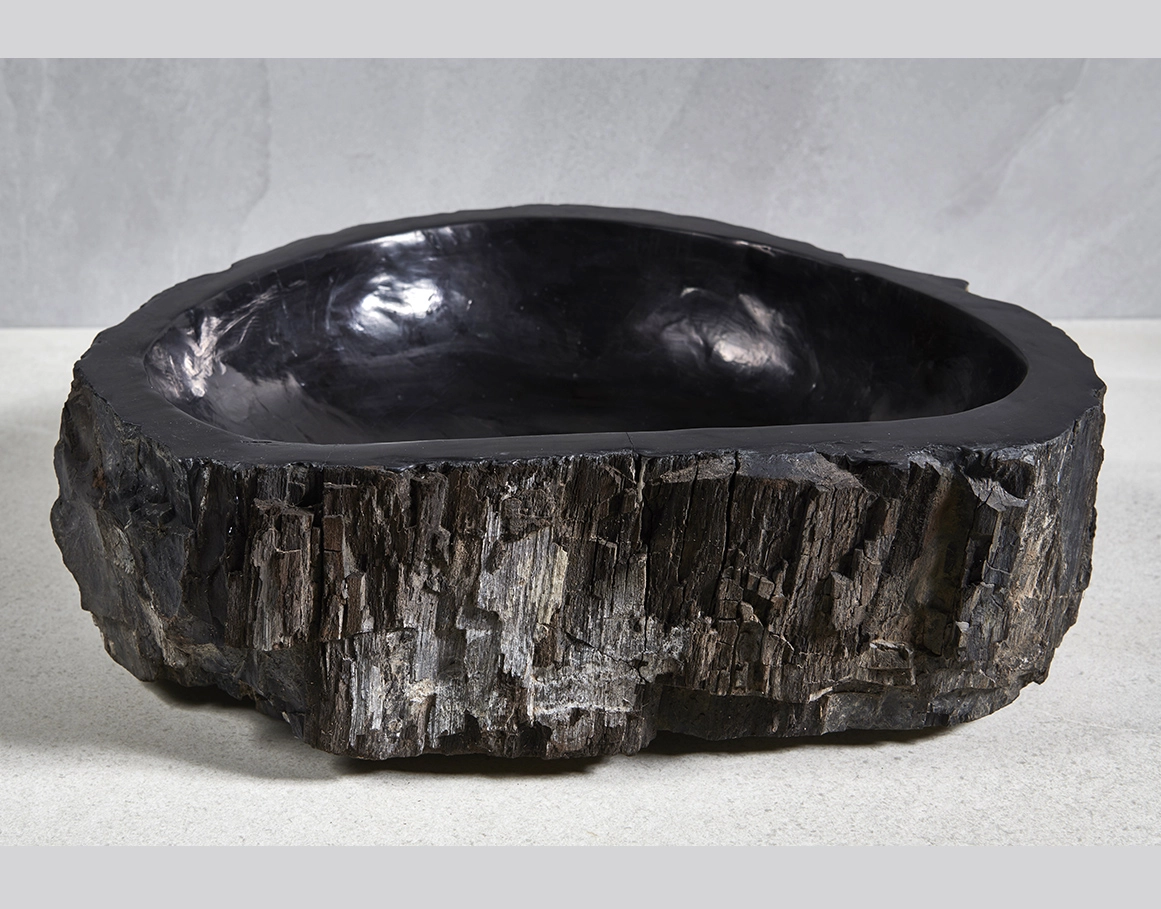 Раковина из окаменелого дерева 53x44x15