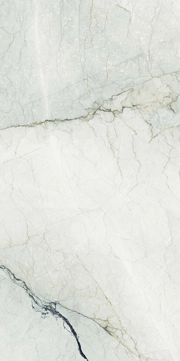 AE CAM6 12 LP 60x120