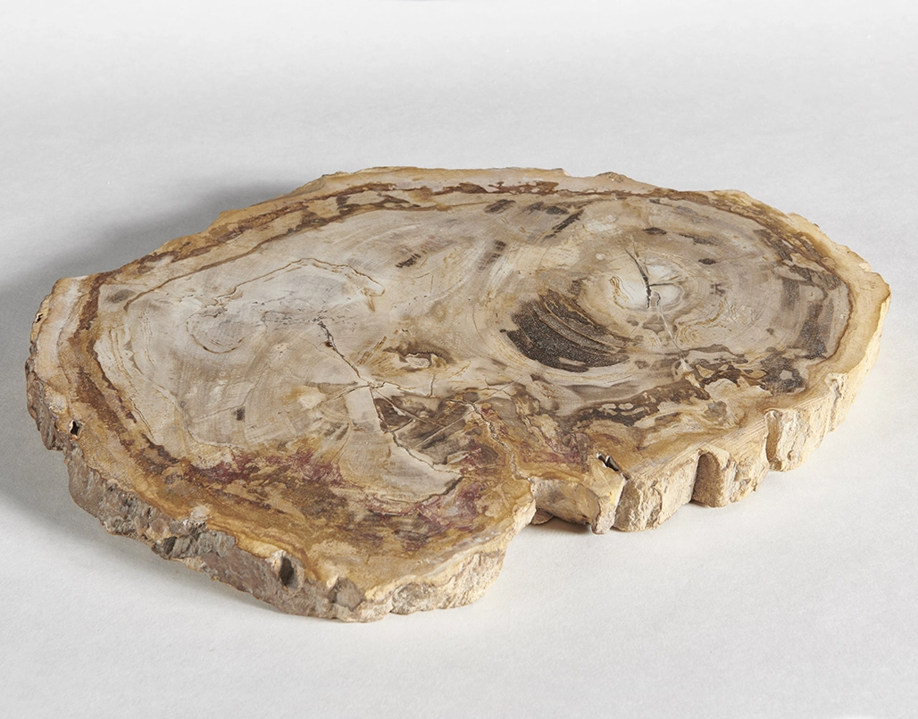 столешница для кофейного столика  из окаменелого дерева 40х32х3