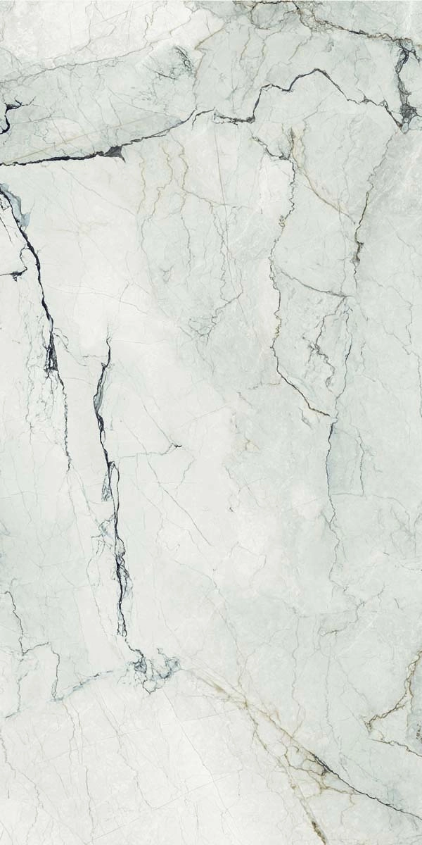 AE CAM6 12 LP 60x120