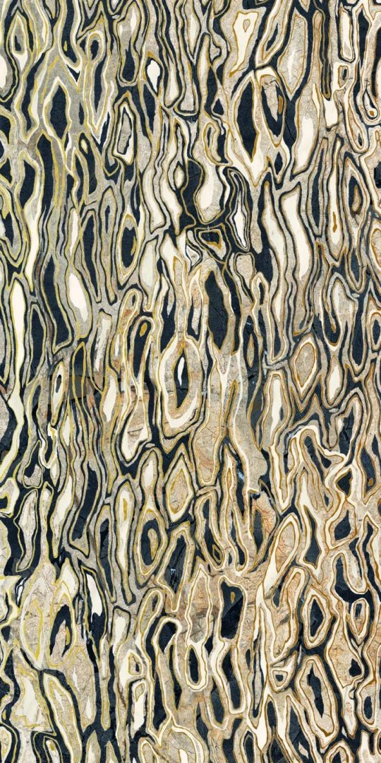 GHEPARD6 12LP 60x120