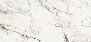 AE PAO6 278 LP 120x278