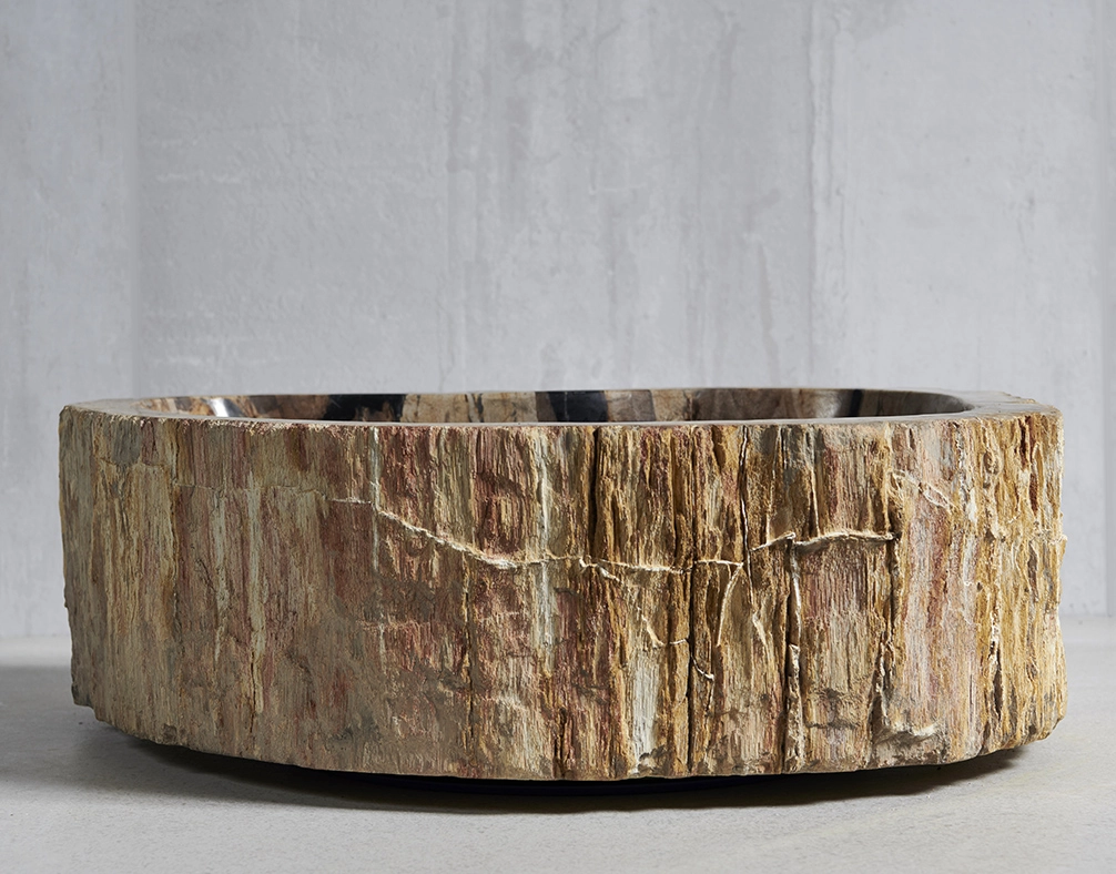 Раковина из окаменелого дерева 50х38х15