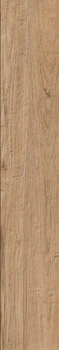 LNOT 2012B RM 20x120