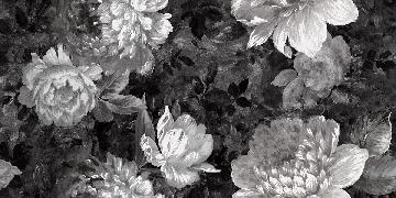 ROMANZA6 12 60x120