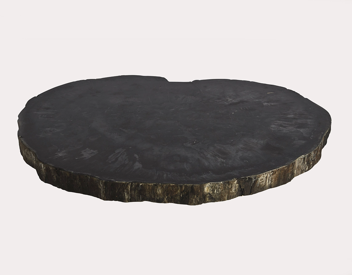 столешница для обеденного или журнального столика из окаменелого дерева 105х85х7