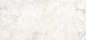 AE CAL6 278 LP 120x278