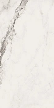 CAL RE 49 LP 45x90