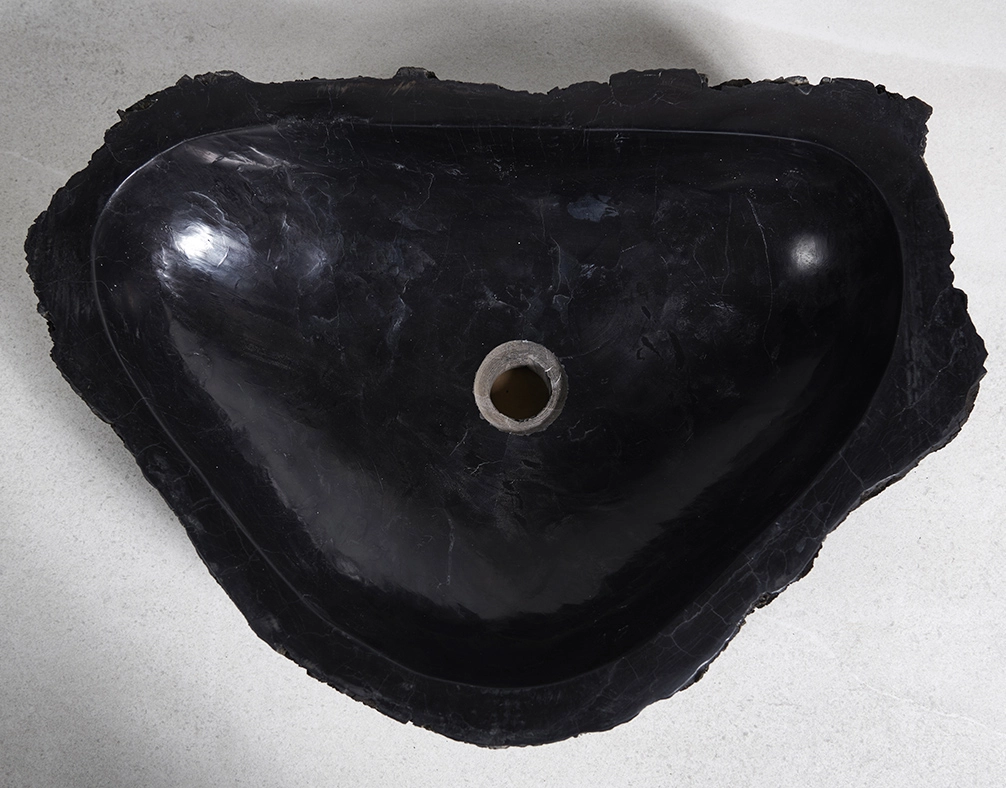 Раковина из окаменелого дерева 60х43х15