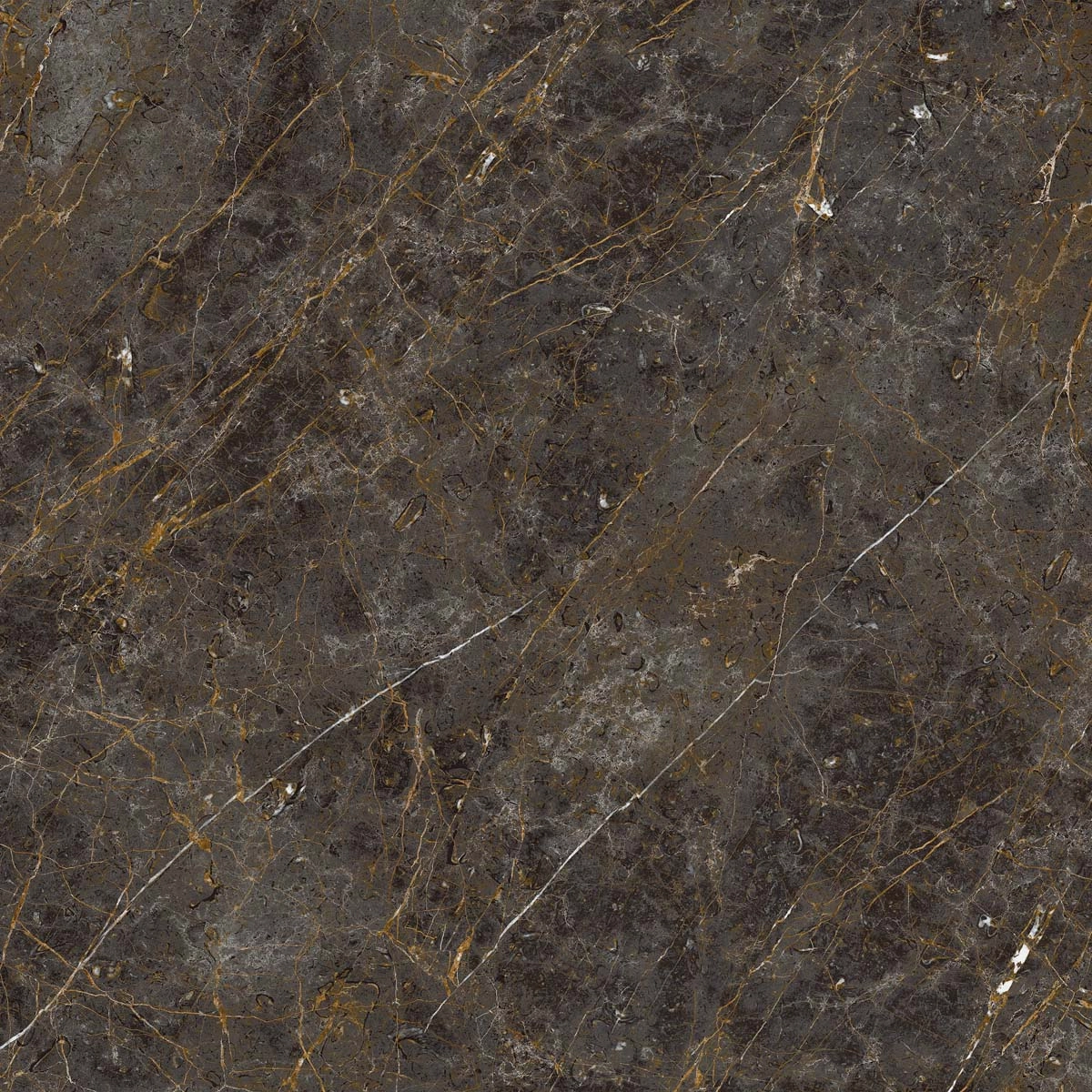 AE GOL6 120 LP 120x120