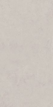 MAXXI6 12AG RM 60x120 Серебристый