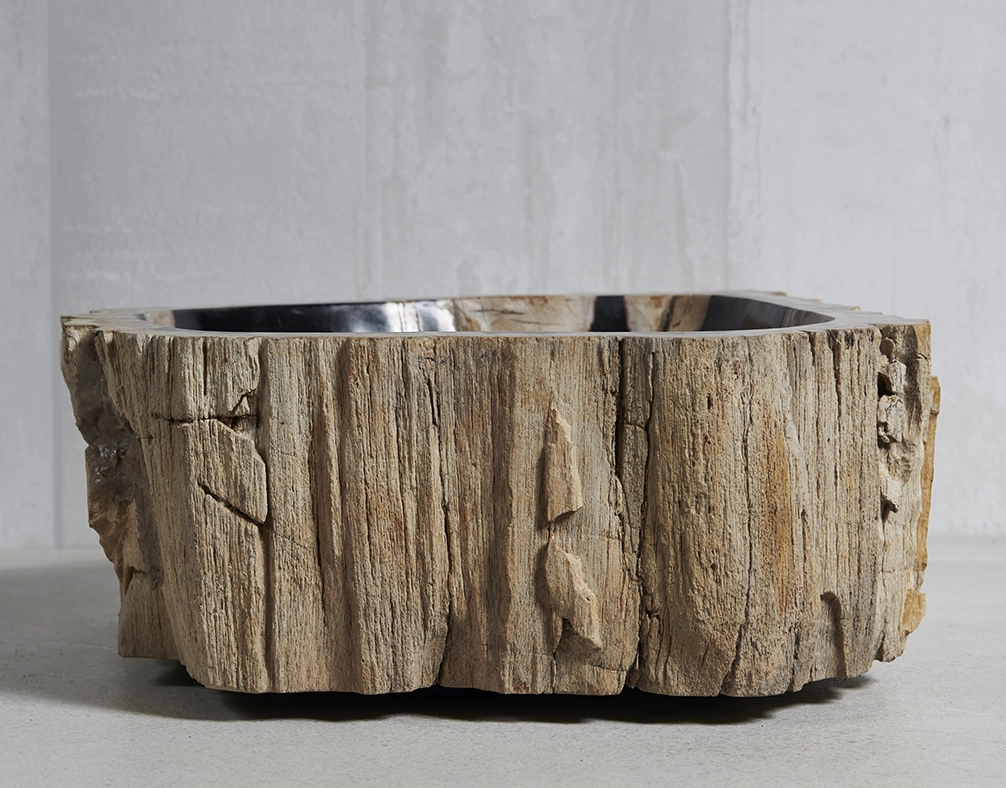 Раковина из окаменелого дерева 43х46х15