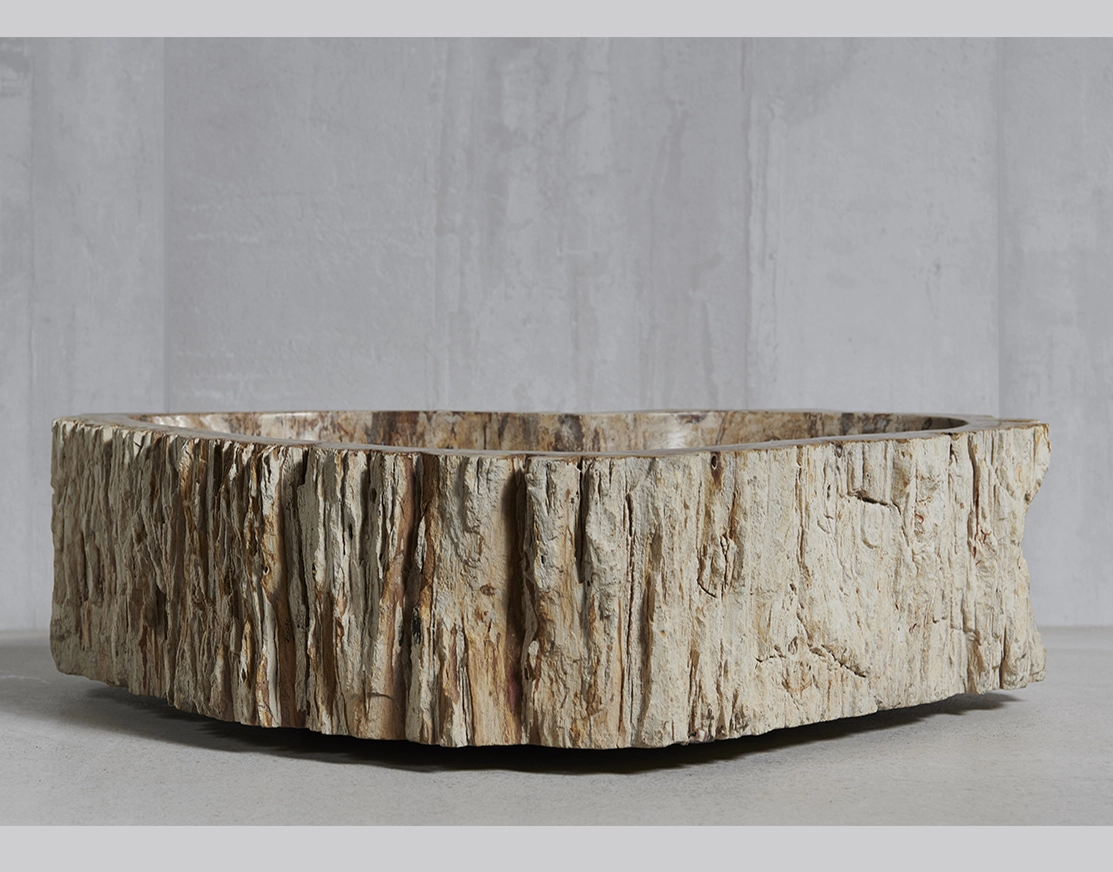 Раковина из окаменелого дерева 60х42х15