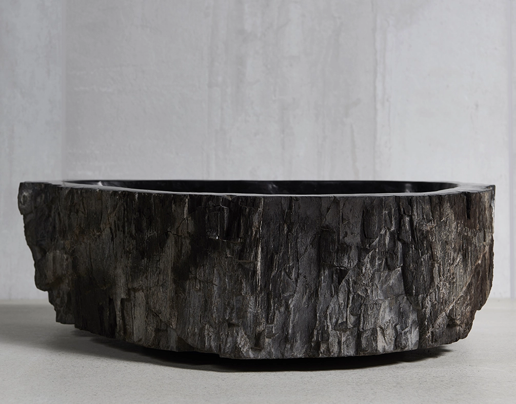 Раковина из окаменелого дерева 43х41х15