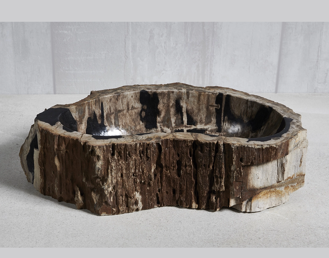Раковина из окаменелого дерева 55х30х15