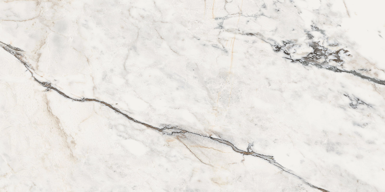 AE PAO6 12 RM 60х120