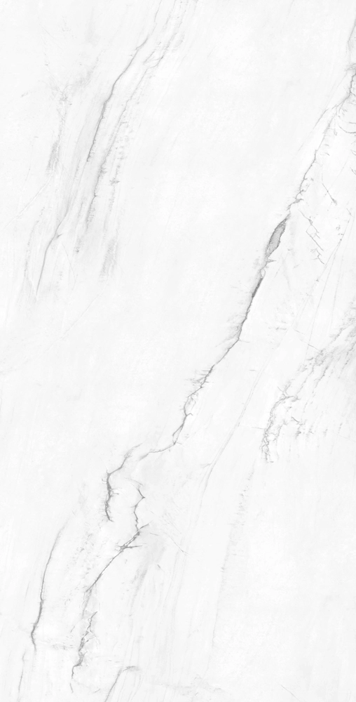 VICTORIA POLISHED 120x240